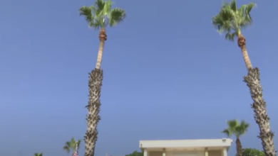 screenshot 10 23