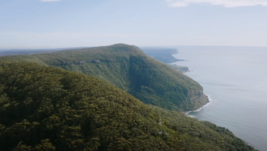 screenshot 5 7