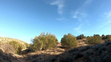 screenshot 5 7