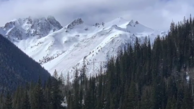 screenshot 1 3