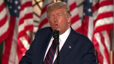 screenshot 11 4