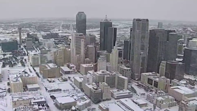 screenshot 11 6