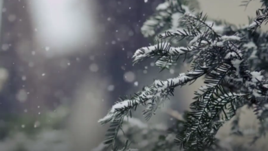 screenshot 2 4