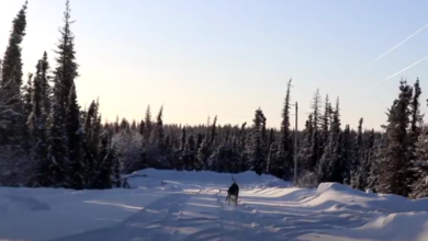 screenshot 3 9