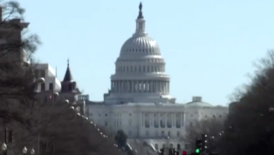 screenshot 1 1