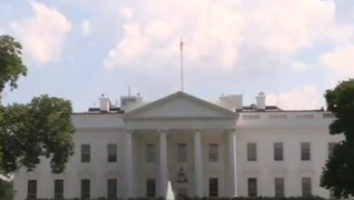 screenshot 10 6