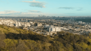 screenshot 1 21