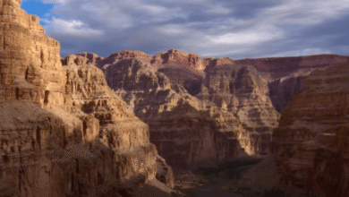 screenshot 2 27