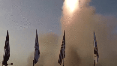 screenshot 4 6
