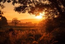 Свята в Україні – 21 червня