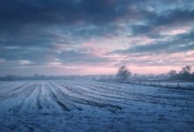 Морозное поле в сельской местности