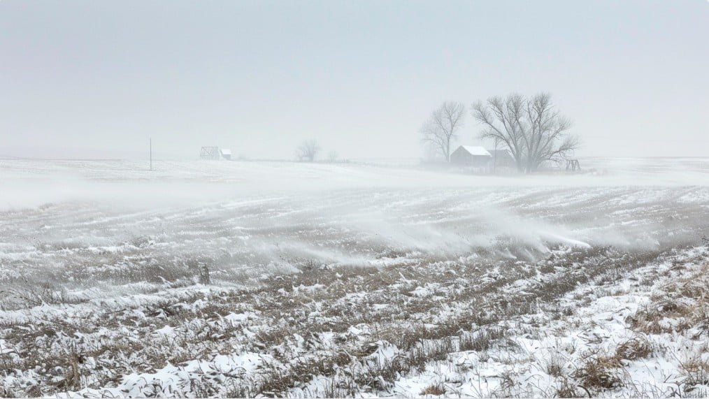 Морозный ветер над полем без снега
