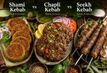Shami kebab compared with chapli kebab and seekh kebab